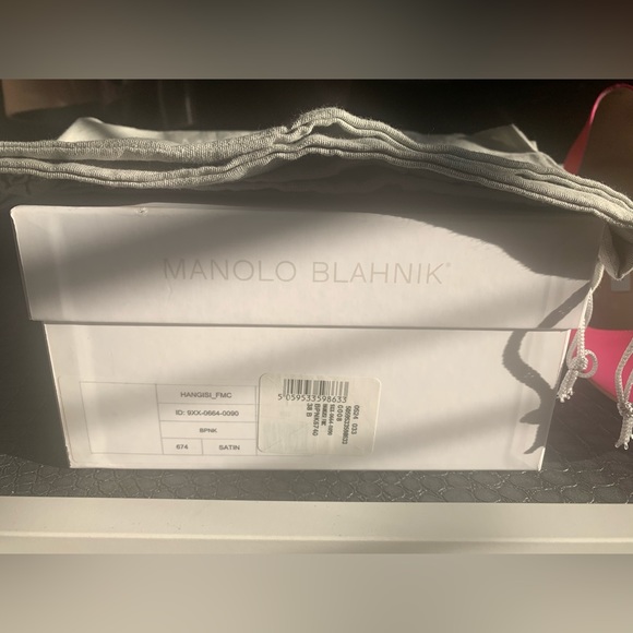 Manolo Blahnik Hangisi - Picture 15 of 16